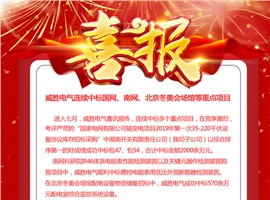 威勝電氣連續(xù)中標(biāo)國網(wǎng)<div   id=